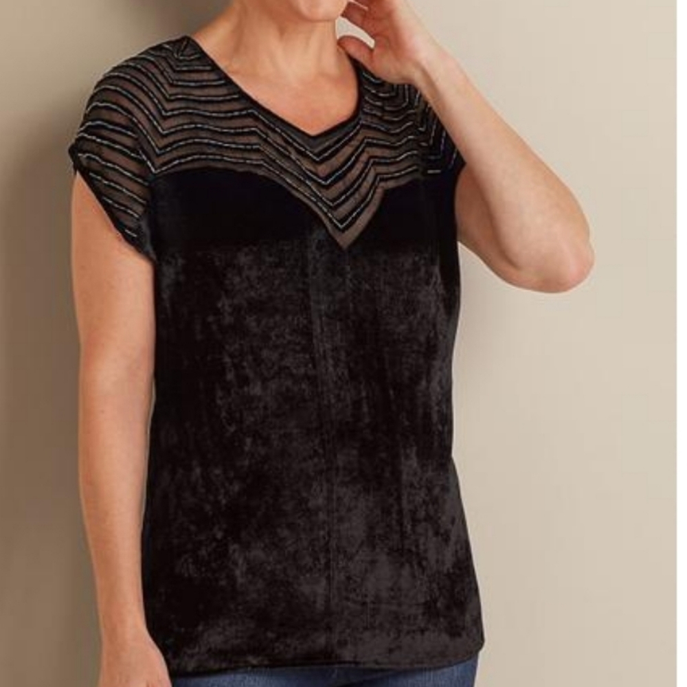 NWT Soft Surroundings Art Deco Velvet Dolman Top